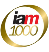 IAM Patent 1000