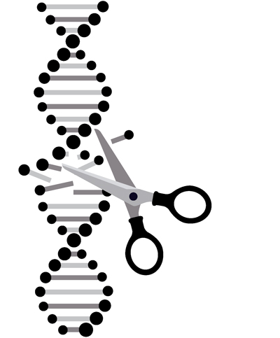 CRISPR Patent